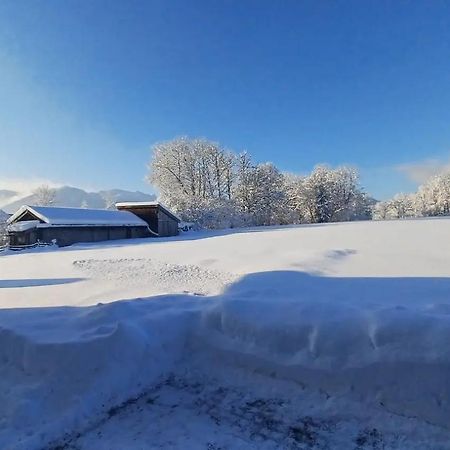 Ferienwohnung Geierstein Wackersberg Eksteriør billede